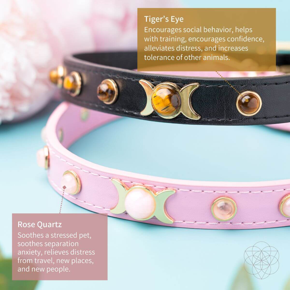 Protect My Pet: Healing Crystal Collars