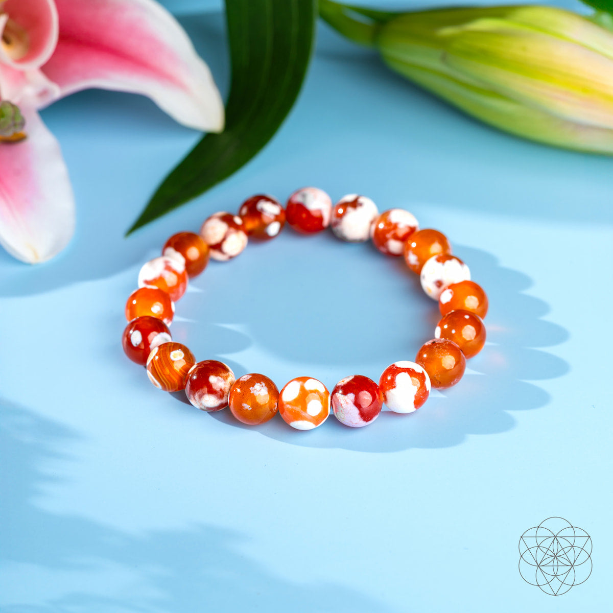 Feminine Force – Carnelian Orca Agate Bracelet