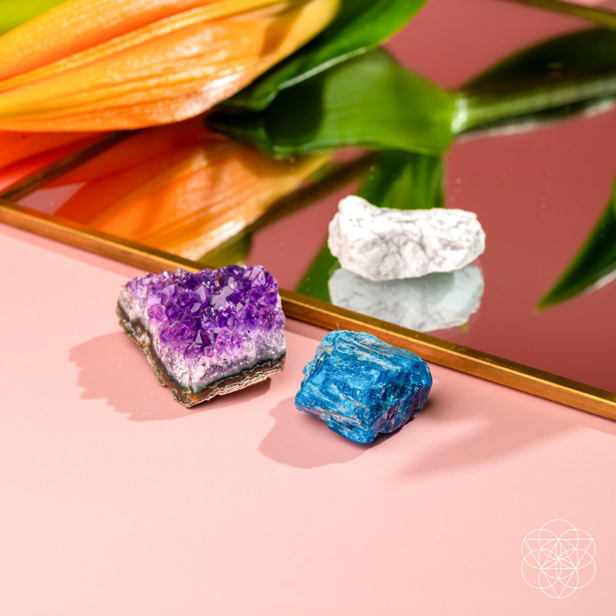 Le trio anti-anxiété