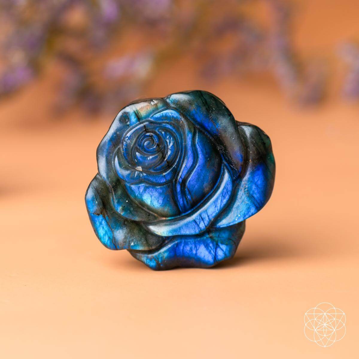 Beautifully Unique - Blossoming Rose of Singularity - Conscious Items