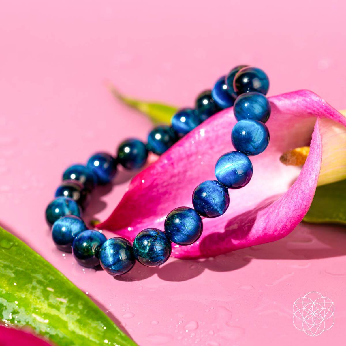Hawk’s Focus – Royal Blue Tiger’s Eye Bracelet - Conscious Items