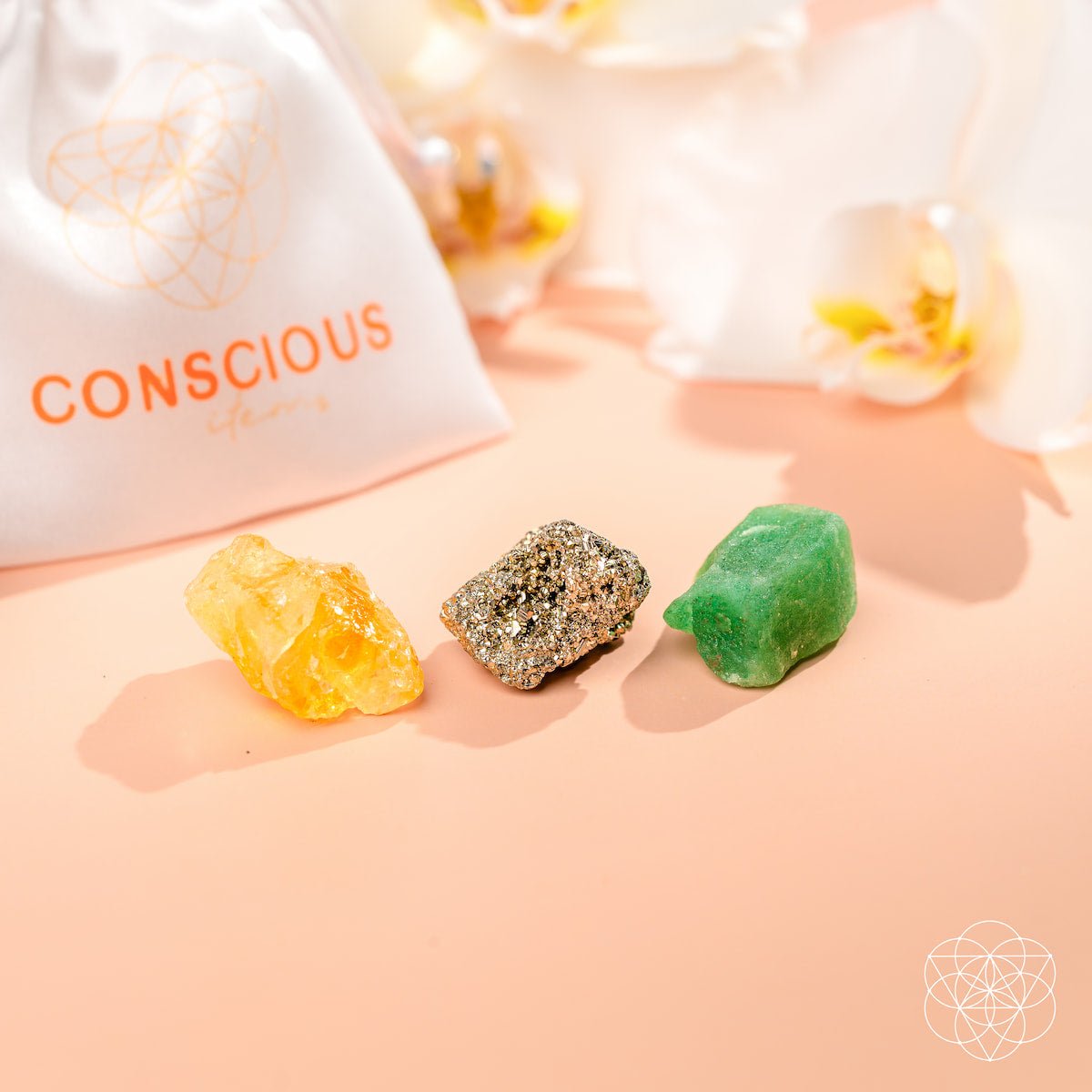 The Abundance Trio - Conscious Items