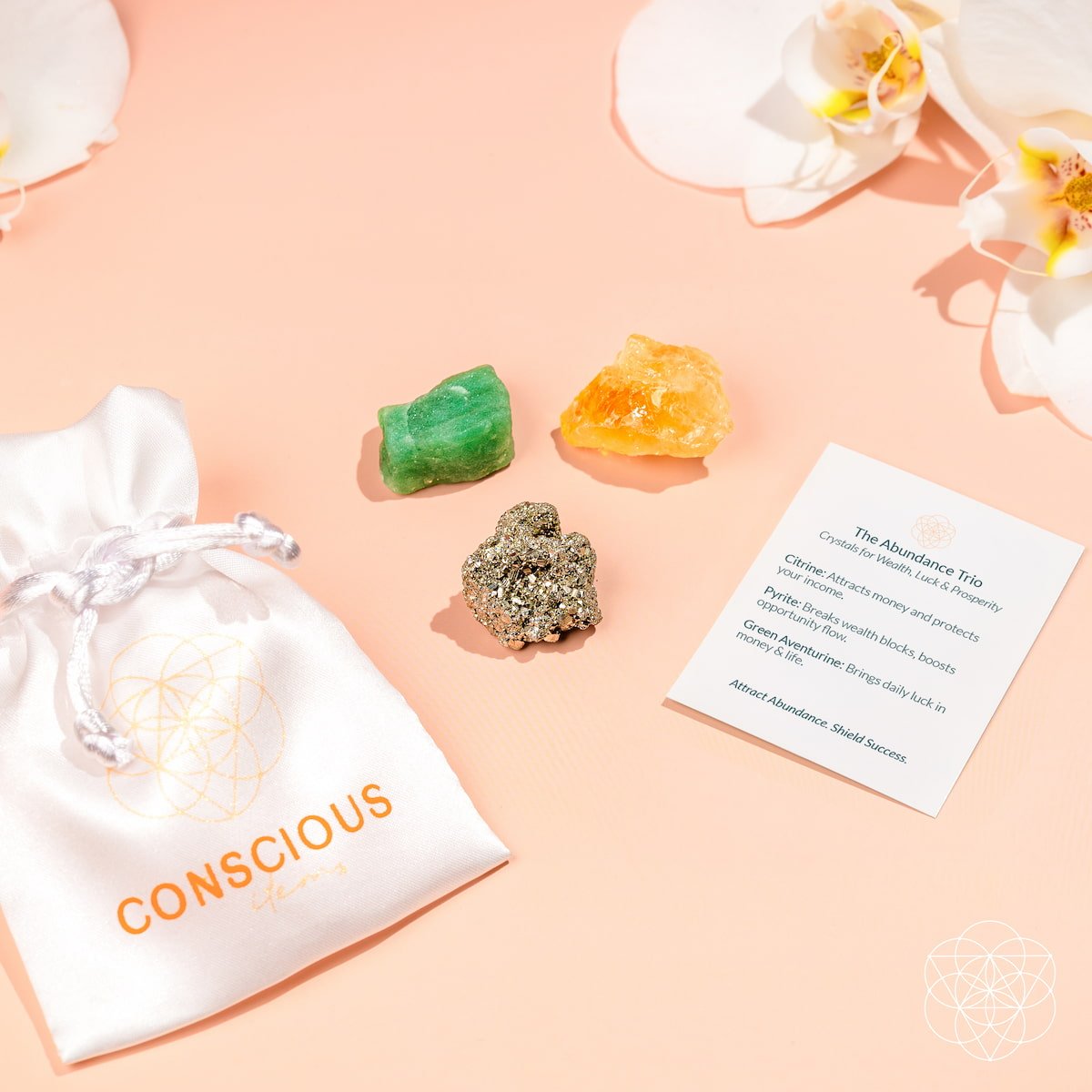 The Abundance Trio - Conscious Items