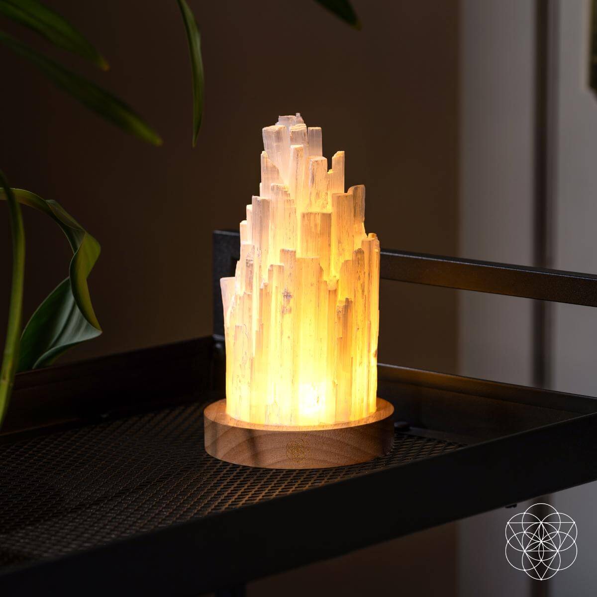 The Cleanse - All Selenite Lamp - 2 Pounds of Healing Power - Conscious Items