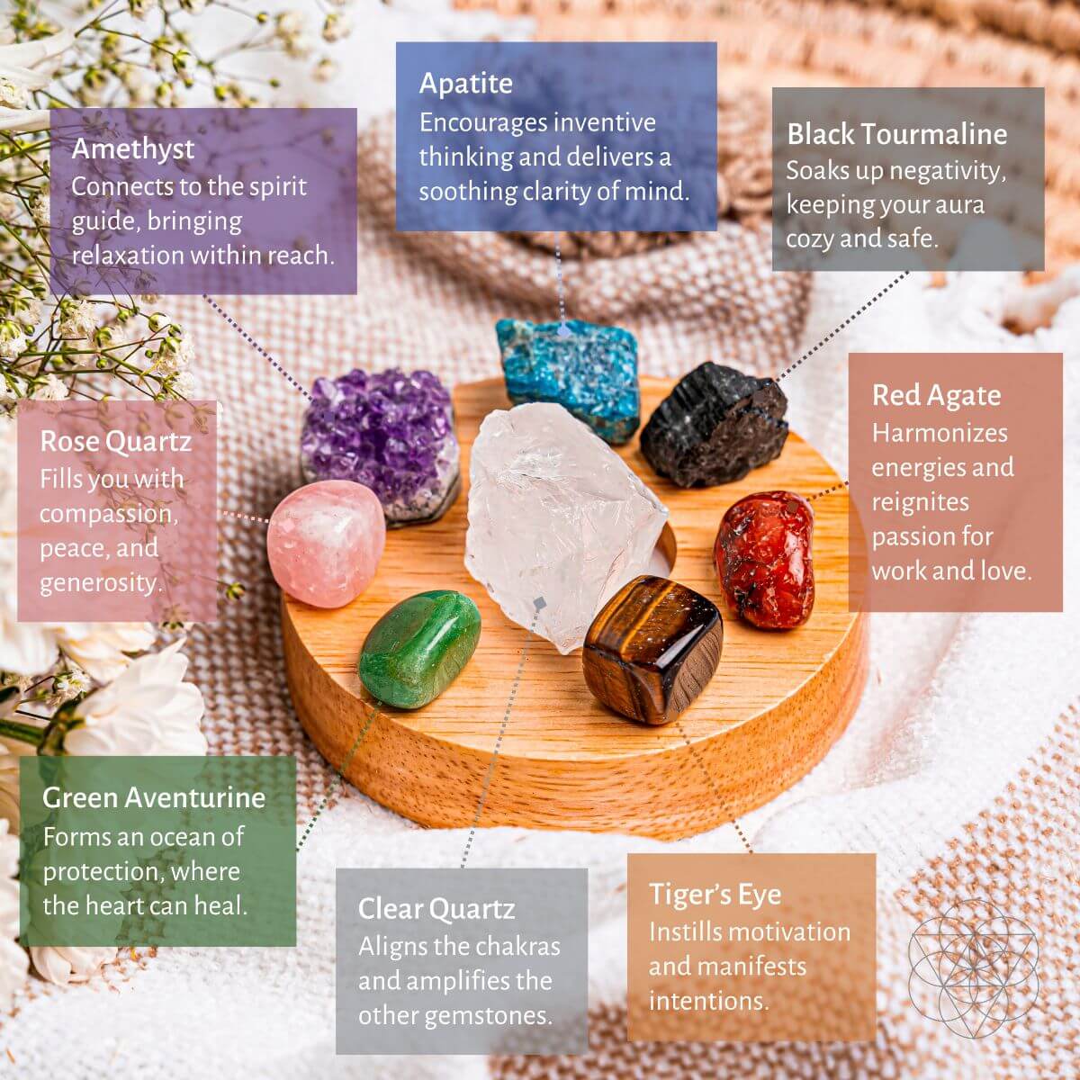 The Natural Energy Lamp - Conscious Items