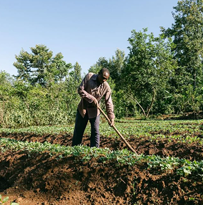 planting-img