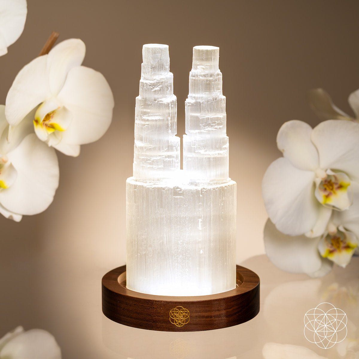 Two - Tower Selenite Lamp – Deep Energy Cleanse & Reset - Conscious Items