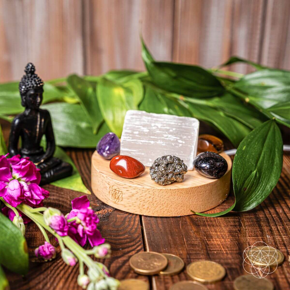 Money - Magnet Lamp - Conscious Items