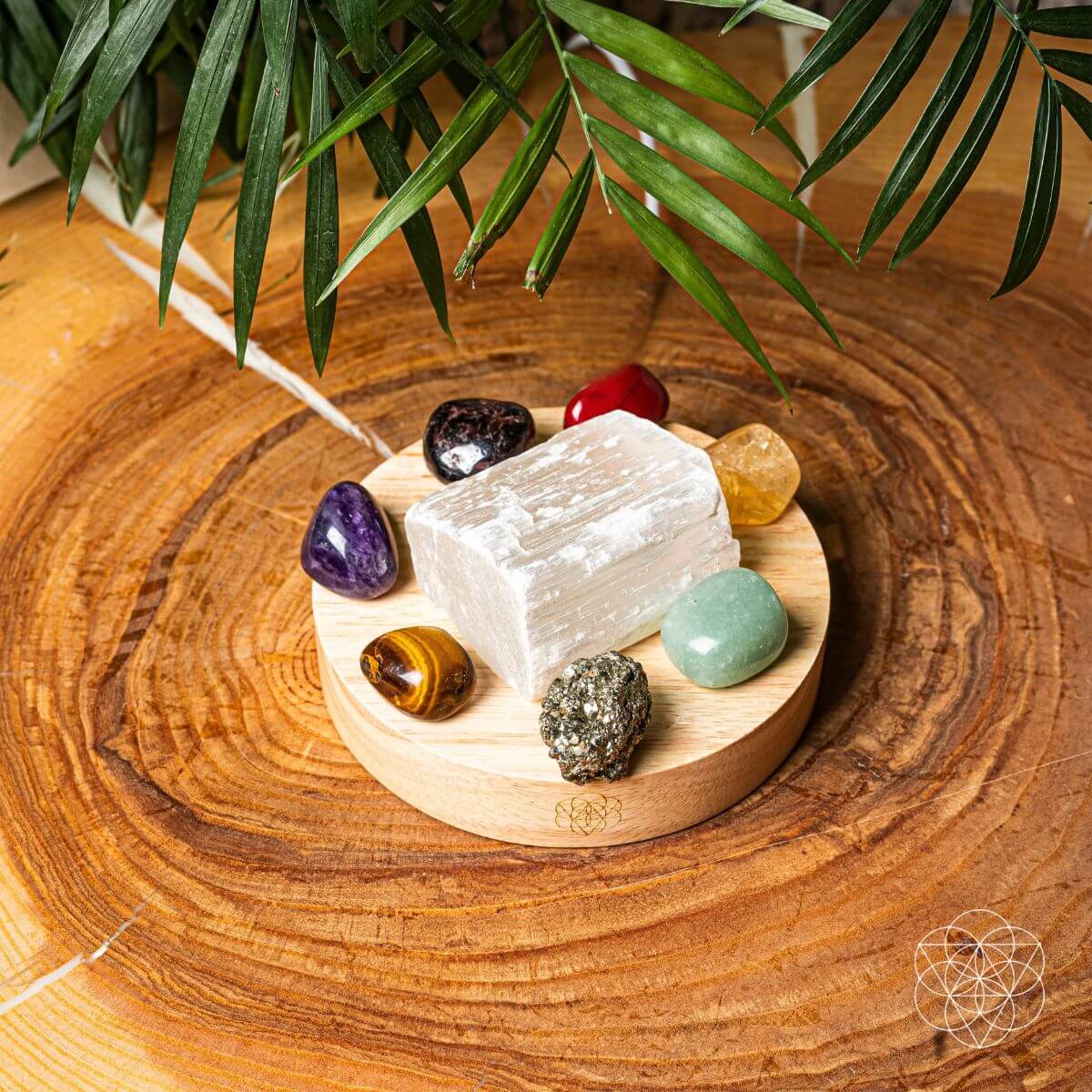 Money - Magnet Lamp - Conscious Items