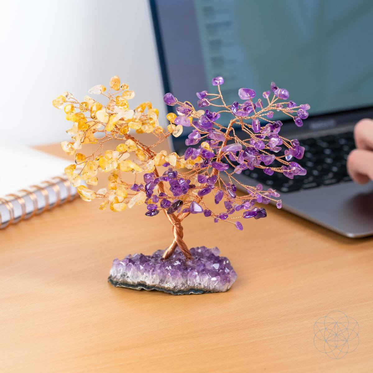 Supreme Abundance: Tree of Everlasting Fortune - Conscious Items