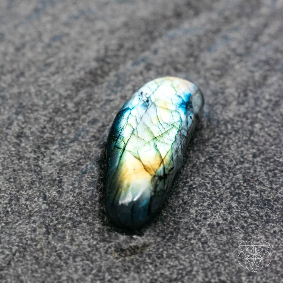 The Mind - Expanding Stone - Conscious Items