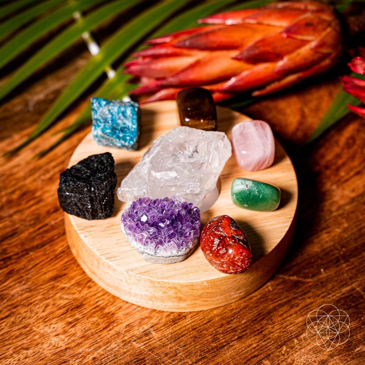 The Natural Energy Lamp - Conscious Items