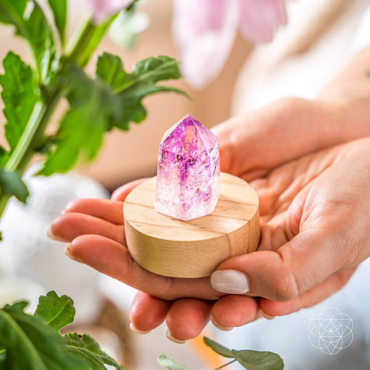 The Serenity Lamp - Conscious Items