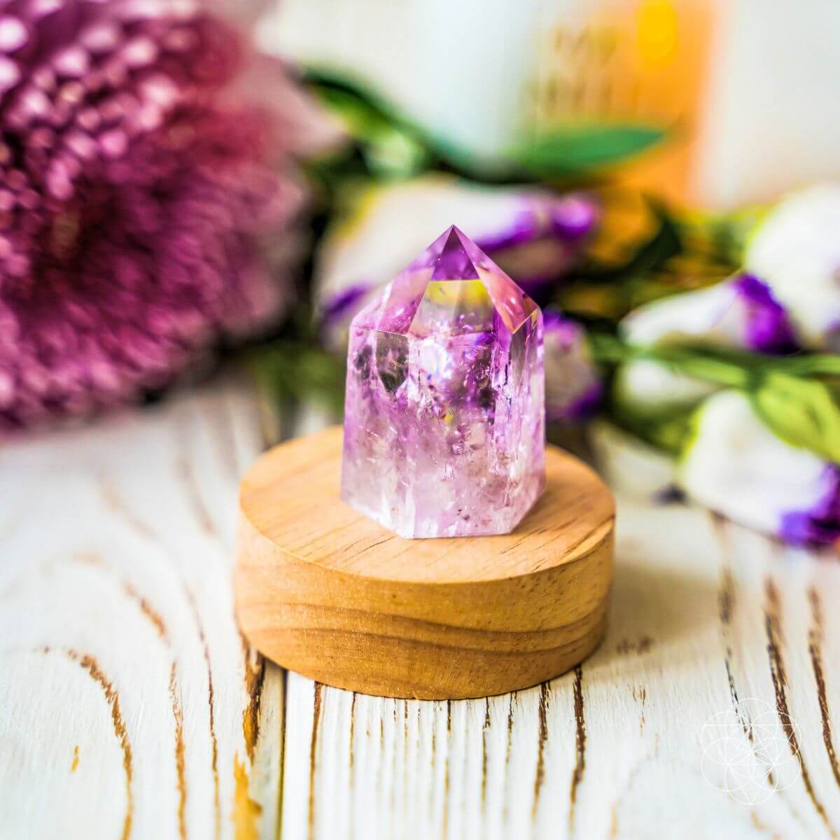 The Serenity Lamp - Conscious Items