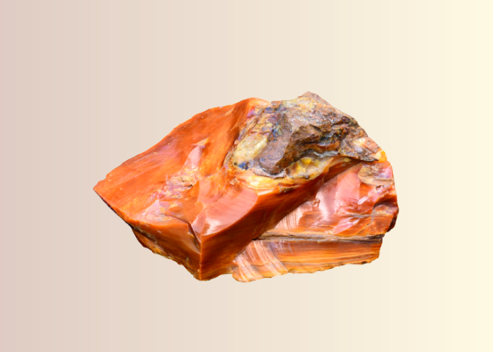 Petrified Wood: Meaning, Healing Properties, And Benefits