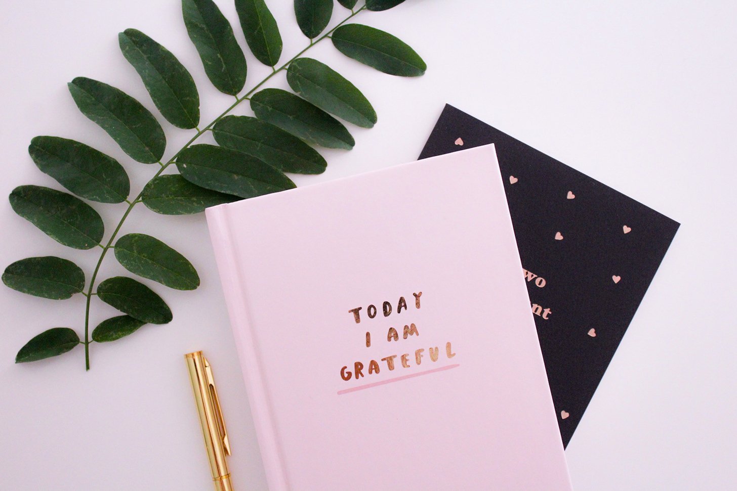 A Beginner’s Guide for Practicing Gratitude - Conscious Items