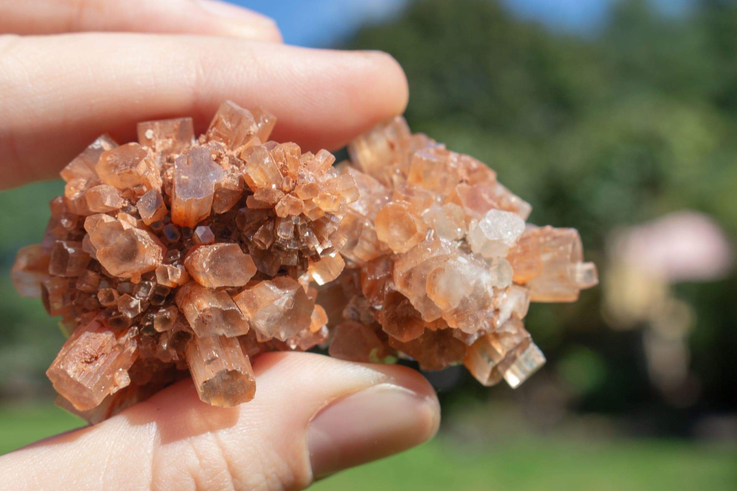 Your Guide to Aragonite and its Healing Properties