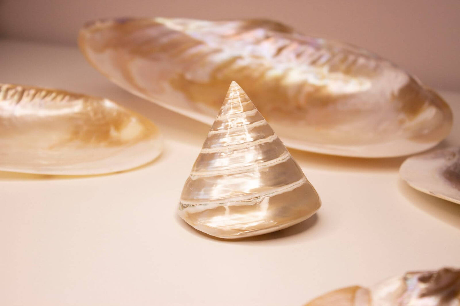 Complete Guide to Mother Of Pearl Meaning. History, Benefits and Uses - Conscious Items
