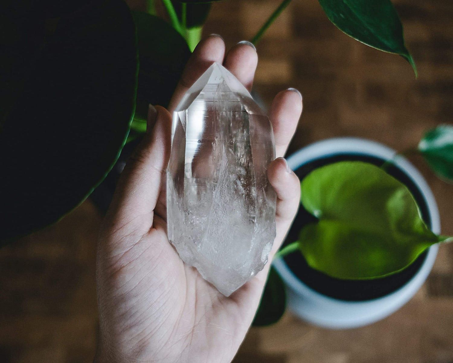 Top 5 Energizing Crystals to Revive Your Plants