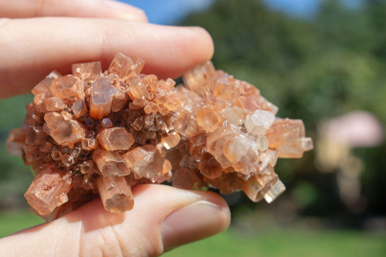 Your Guide to Aragonite and its Healing Properties - Conscious Items
