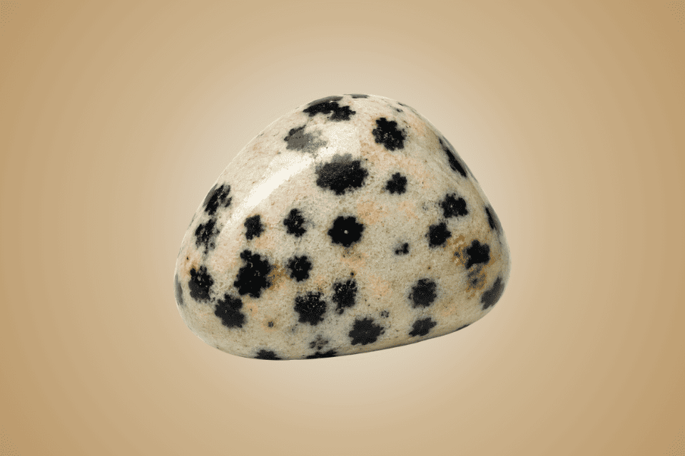 Dalmatian Jasper Jewelry