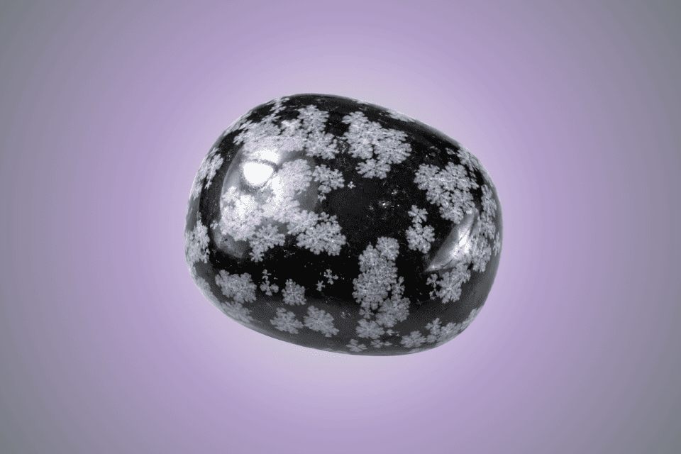 Snowflake Obsidian Jewelry