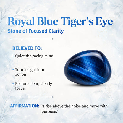 Hawk’s Focus – Royal Blue Tiger’s Eye Bracelet