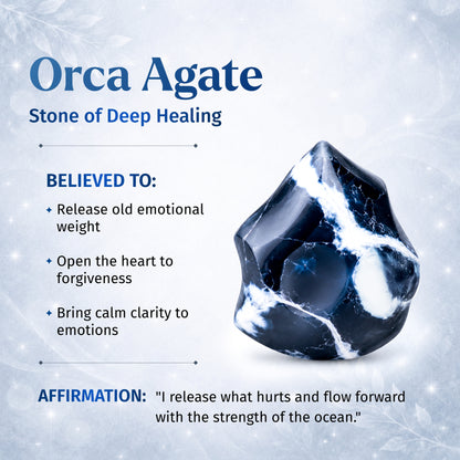 Pulseira de pedra orca exótica da cura profunda