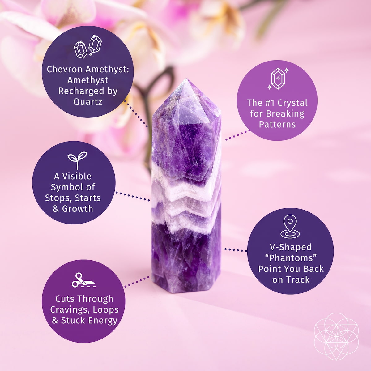 Chevron-Amethyst-Punkt
