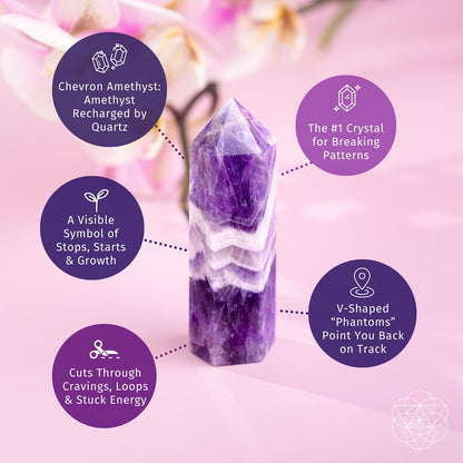 Chevron-Amethyst-Punkt