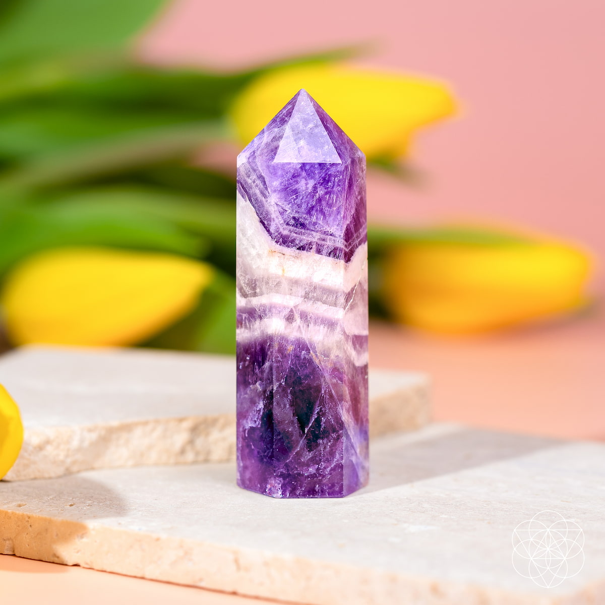 Cycle Breaker Chevron Amethyst Point Transformation