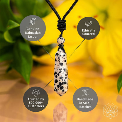 My World Has Color Again – The Dalmatian Jasper Pendant