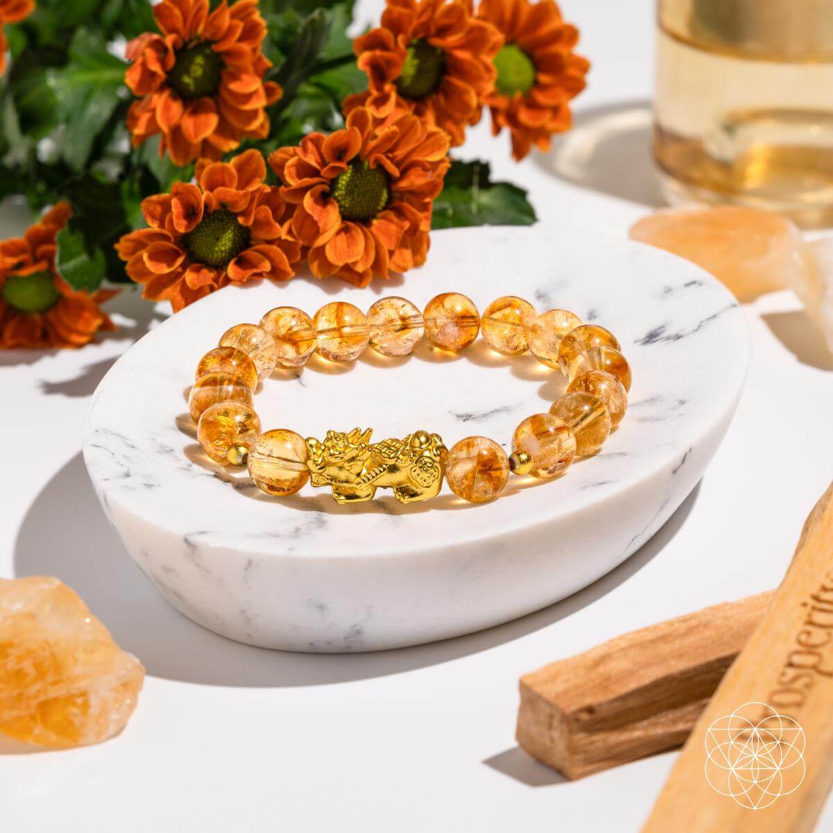 CI578 Pixiu Citrine Bracelet