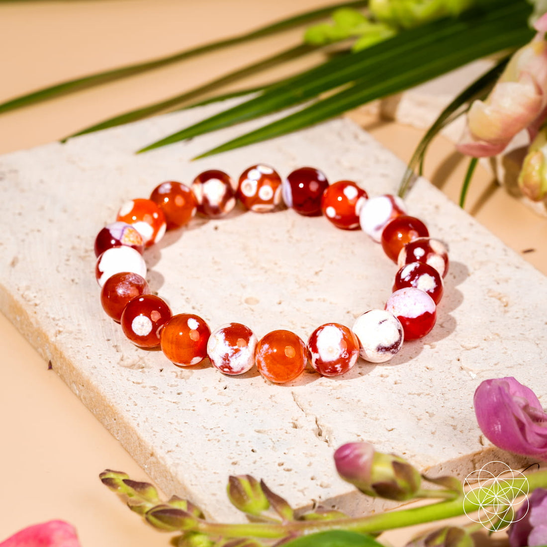 Força feminina - pulseira de ágata da Orca Carnelian