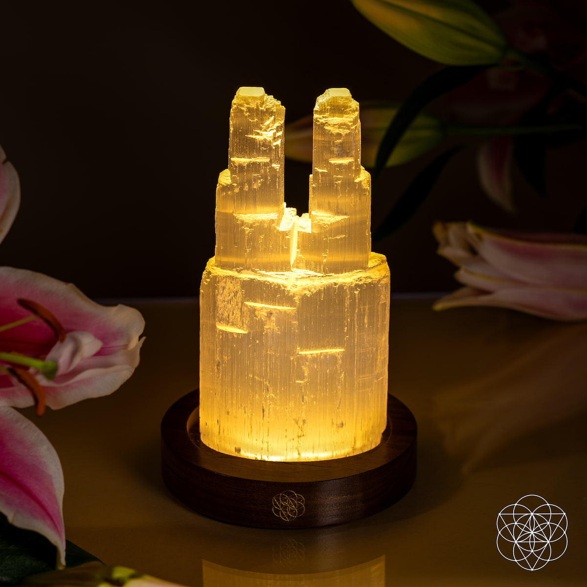 Two-Tower Selenite Lamp – Deep Energy Cleanse &amp; Reset