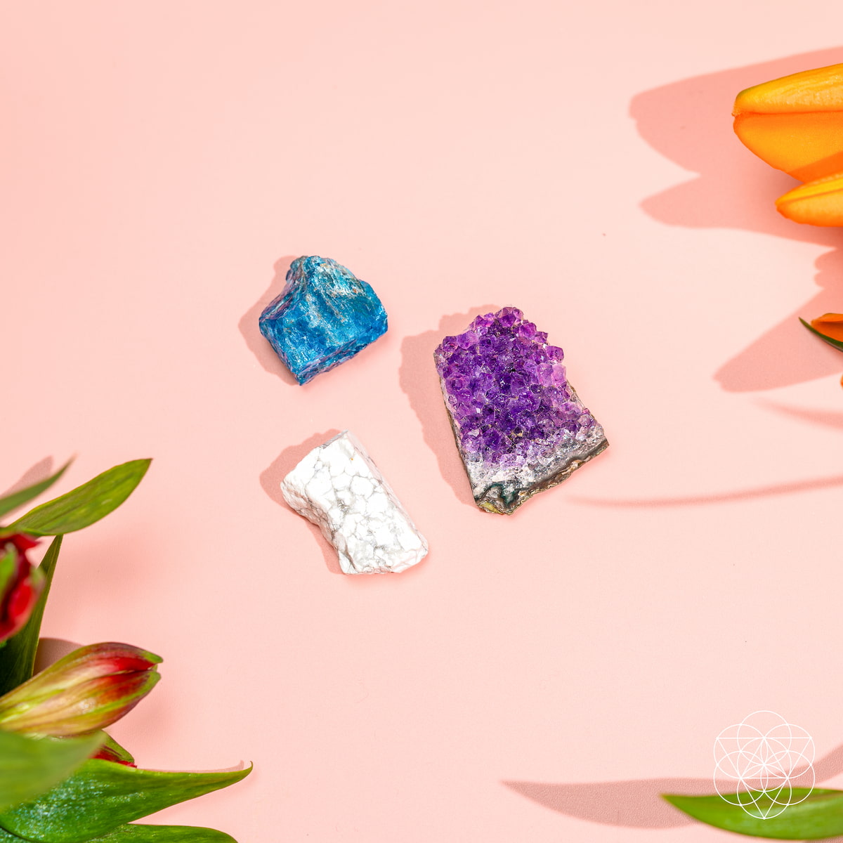 Le trio anti-anxiété