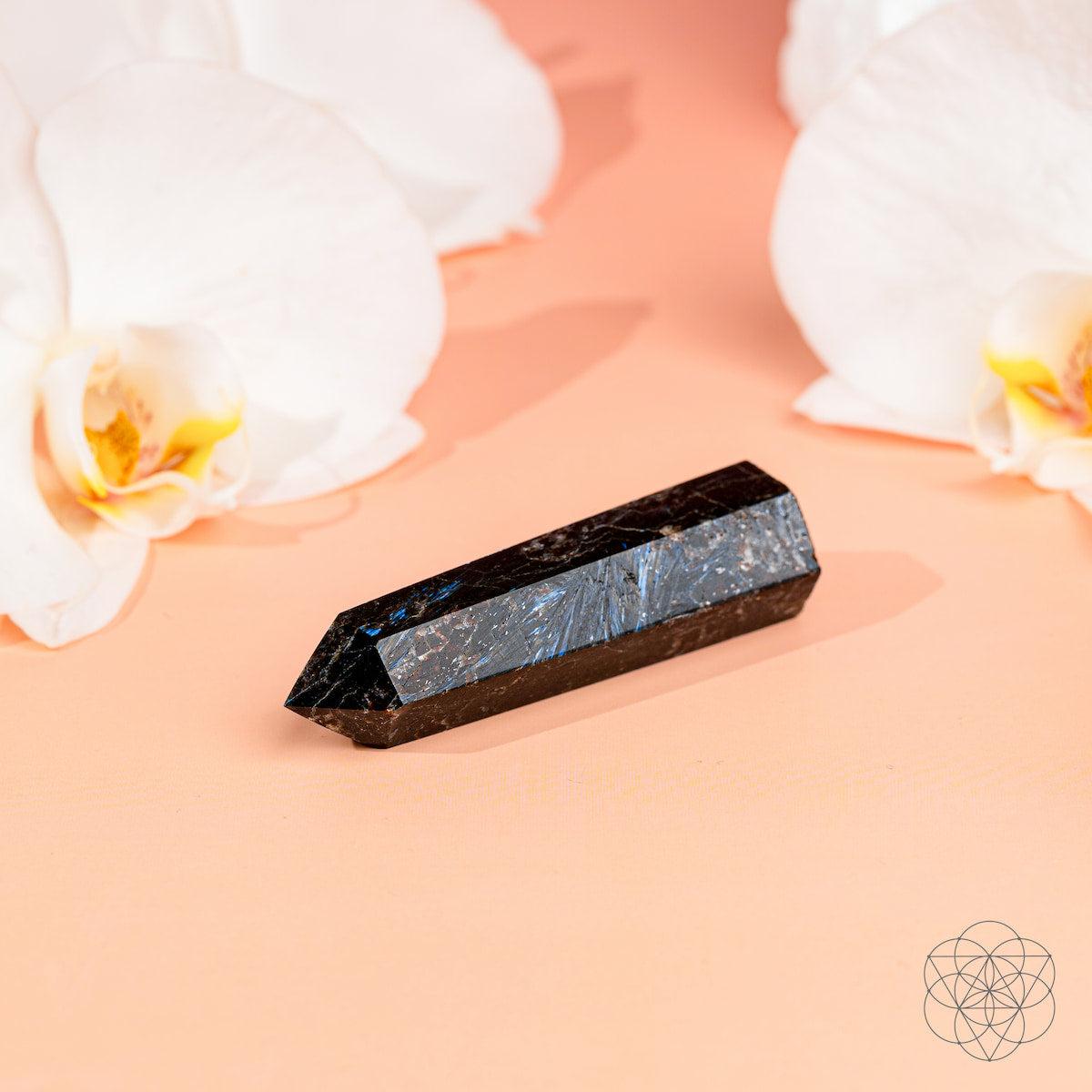 Arfvedsonite Crystal Point