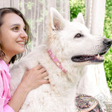 Thumbnail for Protect My Pet: Healing Crystal Collars