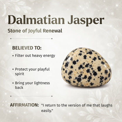 My World Has Color Again – The Dalmatian Jasper Pendant