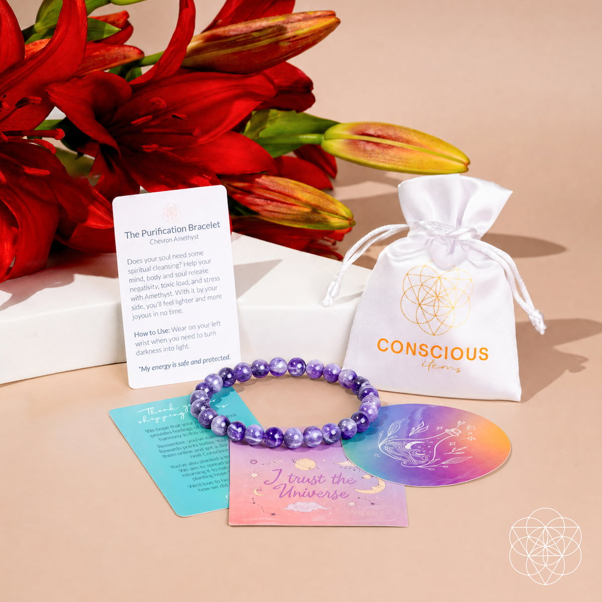 Le Bracelet de Purification