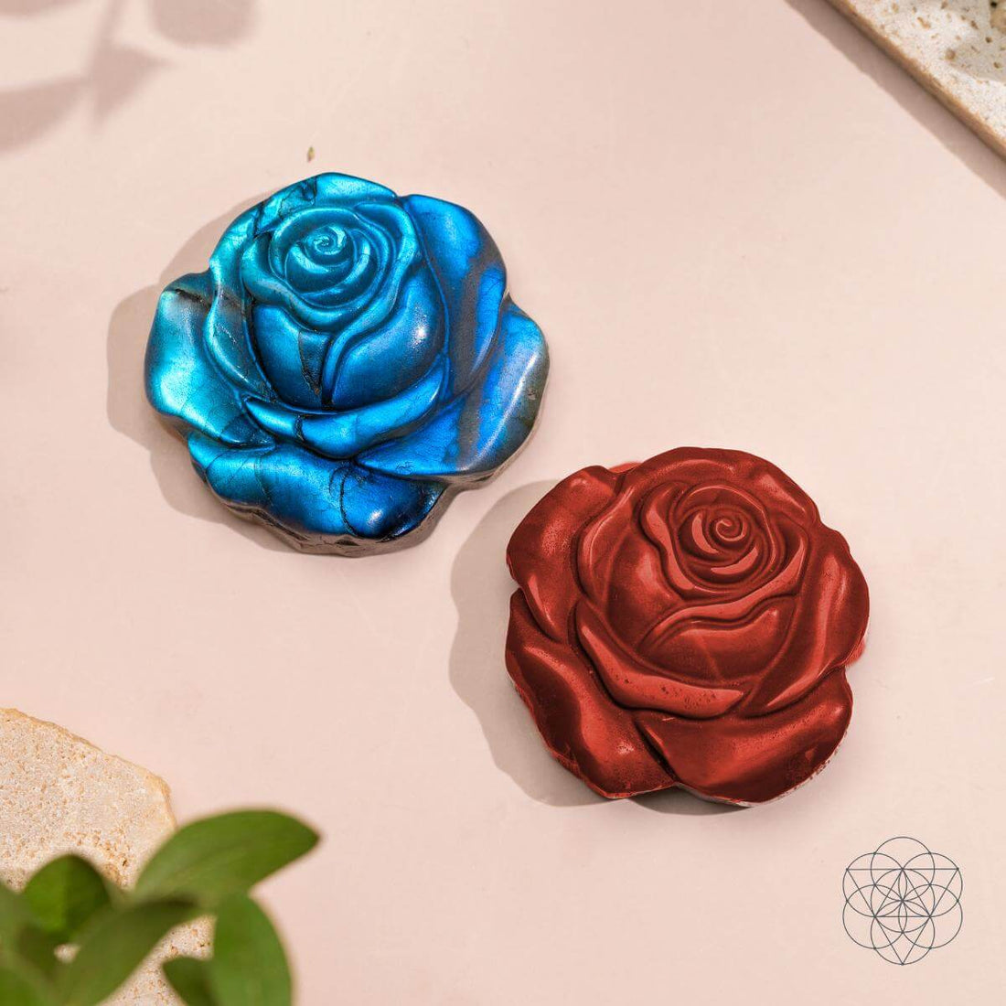 Beautifully Unique - Blossoming Rose of Singularity - Conscious Items