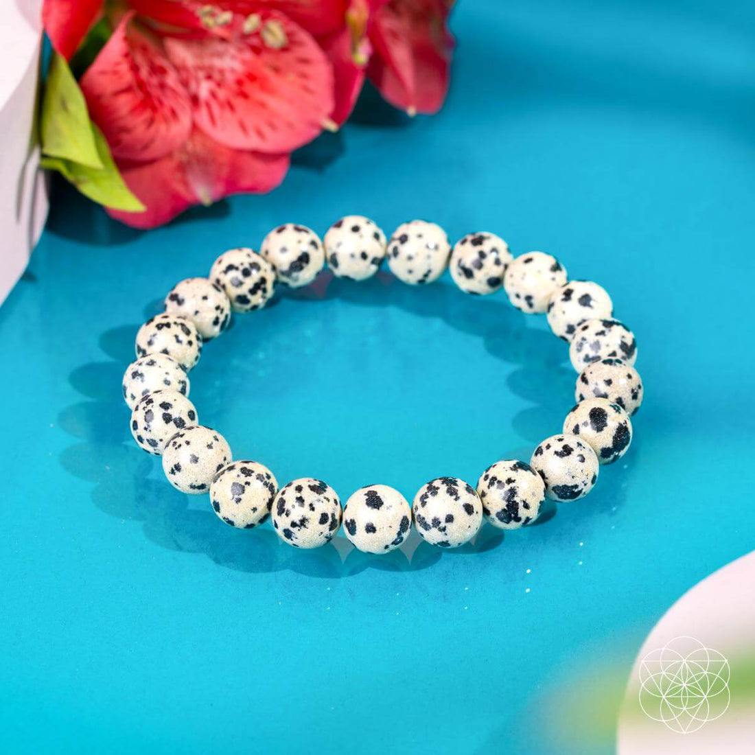 Emotional Detox - Dalmatian Jasper Bracelet - Conscious Items