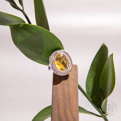 Eye of The Sun - Silver Aura Ring of Attraction - Conscious Items