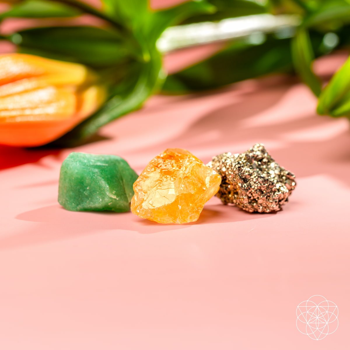 The Abundance Trio - Conscious Items