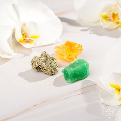 The Abundance Trio - Conscious Items