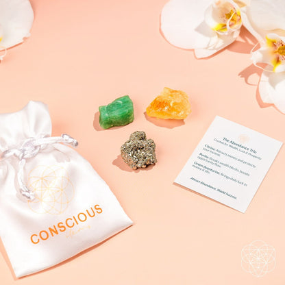 The Abundance Trio - Conscious Items