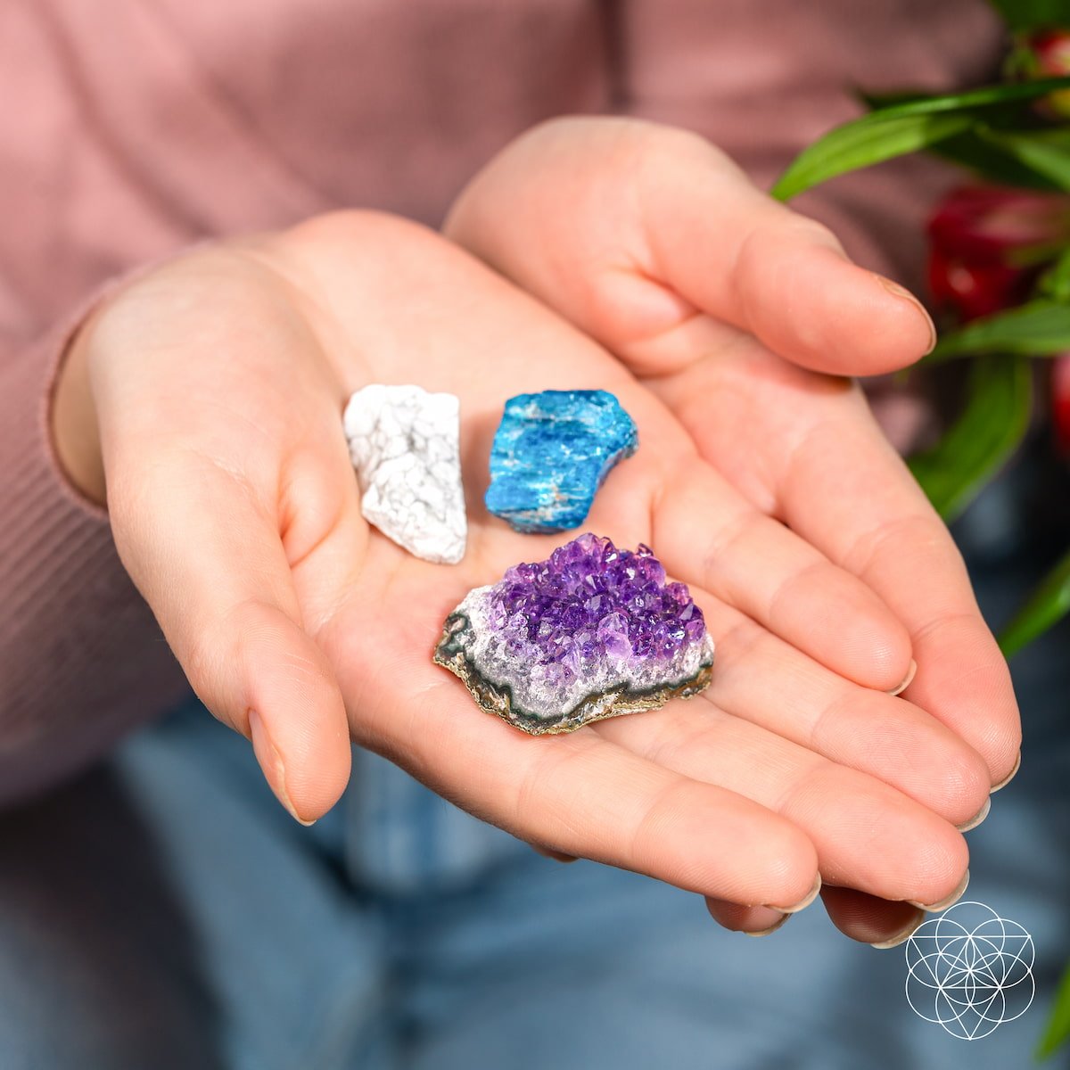 The Anti - Anxiety Trio - Conscious Items