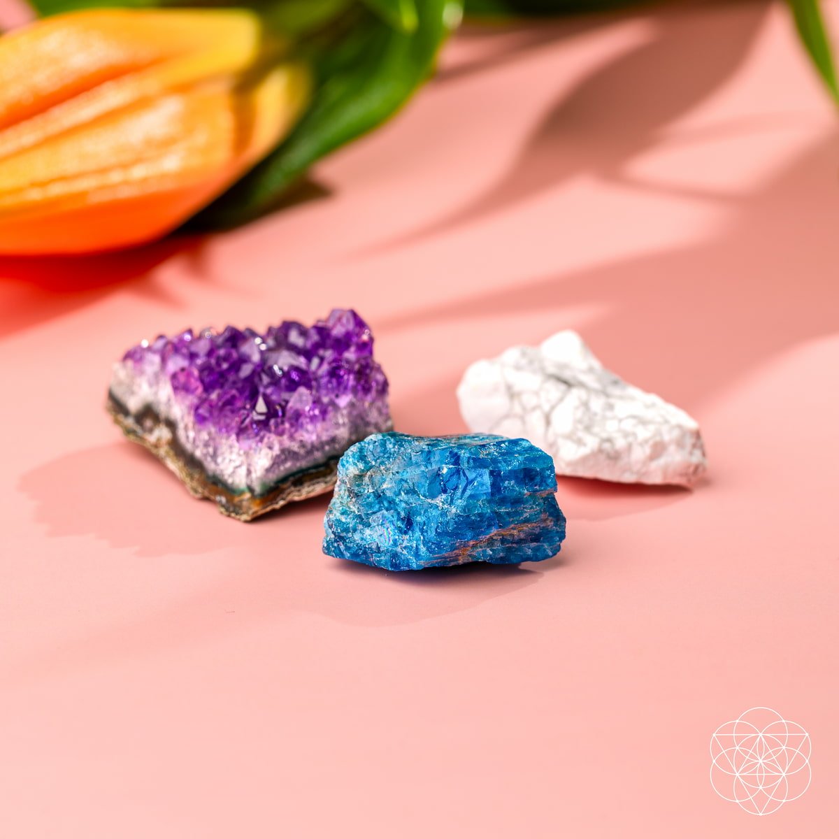 The Anti - Anxiety Trio - Conscious Items