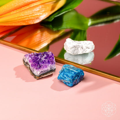 The Anti - Anxiety Trio - Conscious Items