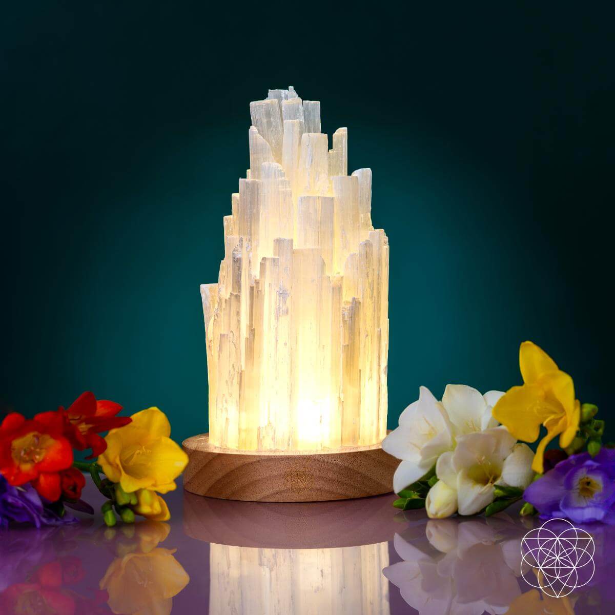 Cleanse All Selenite Lamp 2 Pounds Healing Power